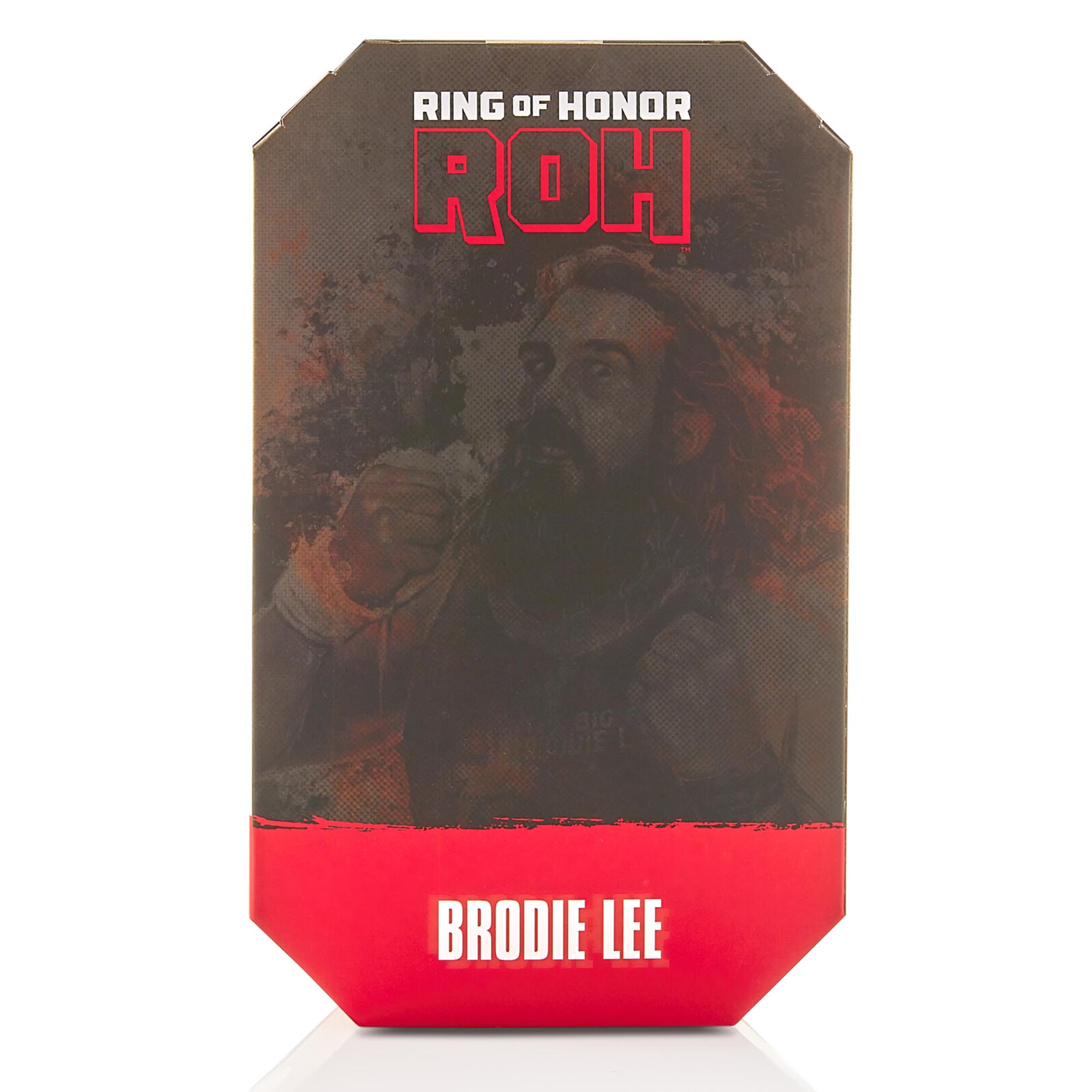 Ring of Honor Brodie Lee - Image 12