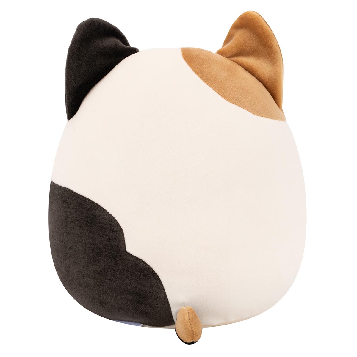 Cam the Calico Cat - Image 4